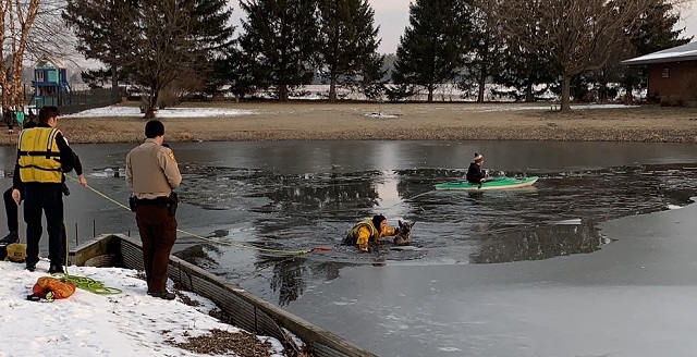 Dog in Plainfield Rescued After Falling Through Ice