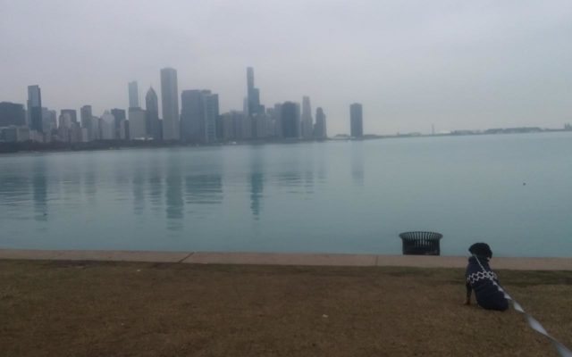 Chicago Police Clear People From Lakeshore Drive