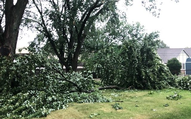 City of Joliet Announces Tree Debris Removal