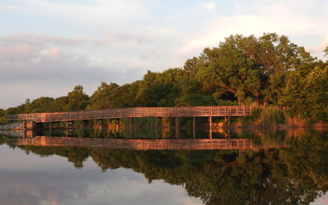 Bridge Photo Carries New Lenox Man to Forest Preserve Photo Contest Win