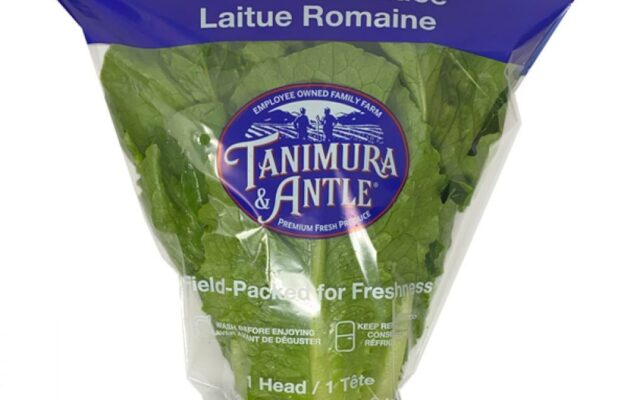 Romaine Lettuce Recalled Because of E. Coli