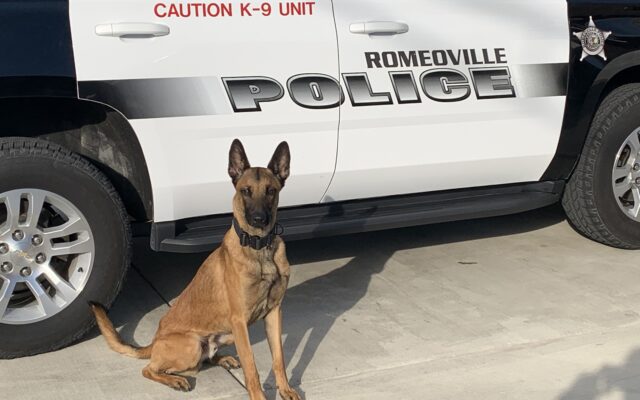 Romeoville Police Department’s K9 Rood to Get Donation of Body Armor