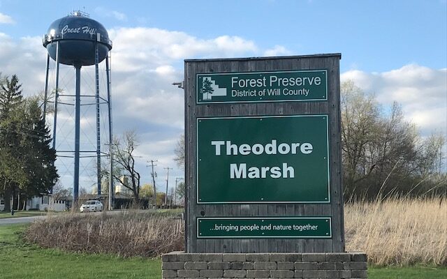 Body Found in Theodore Marsh Identified