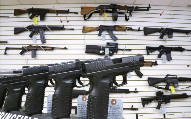 Bill Would Allow Lawsuits By Illinoisans Against Gun Manufacturers, Dealers