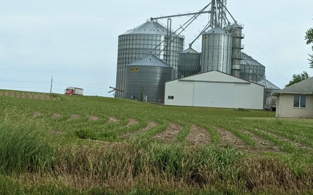 Illinois Farmers Urged To Review Safety While Working In Grain Bins
