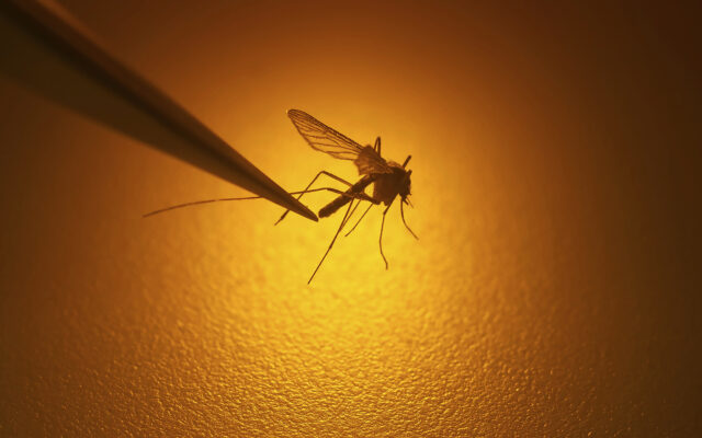 Will County Resident Dies of West Nile Virus