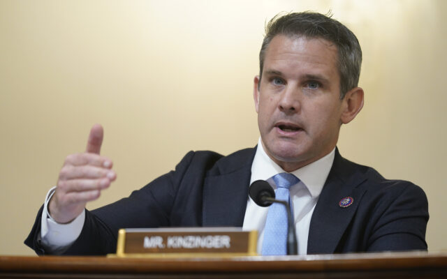Kinzinger Calls For Unity Against Russian Aggression