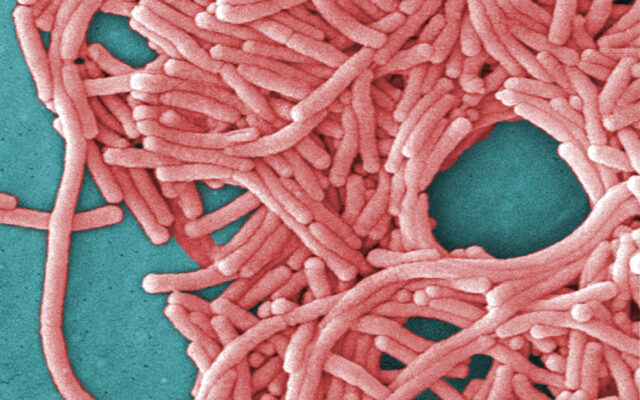Legionella Bacteria Detected at Two DOC Facilities In Illinois