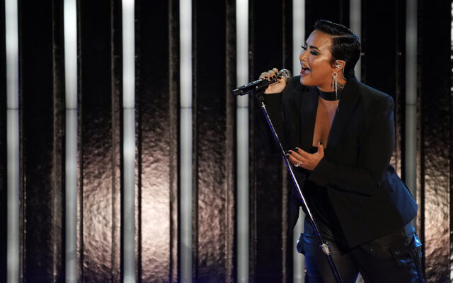 Demi Lovato To Perform At Illinois State Fair