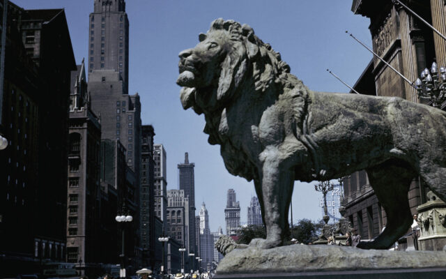 Art Institute’s Lions Return To Museum After Deep Cleaning