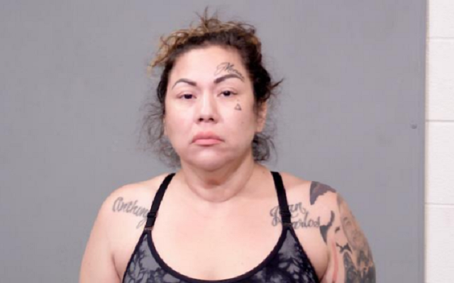 Joliet Woman Accused of Intentionally Crashing into a House