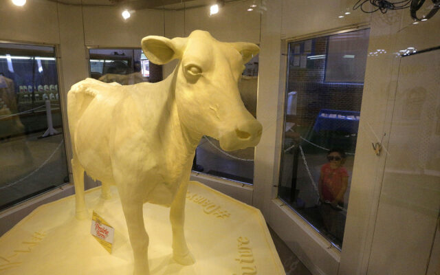 Butter Cow Unveiled
