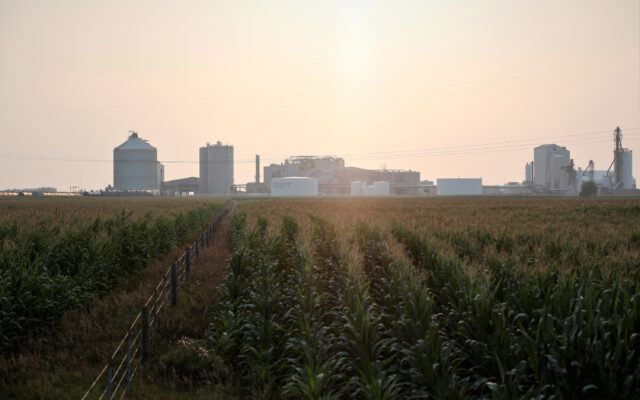 New Report Shows Biofuels Creating Jobs in Illinois