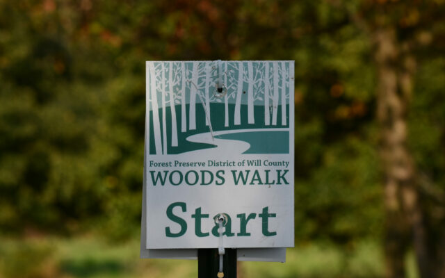 Celebrate 20th anniversary of Forest Preserve’s Woods Walk hiking challenge