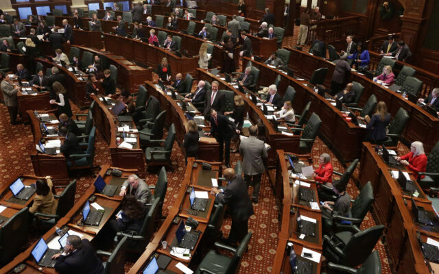 Full Illinois Senate To Take Up Constitution Bill This Week