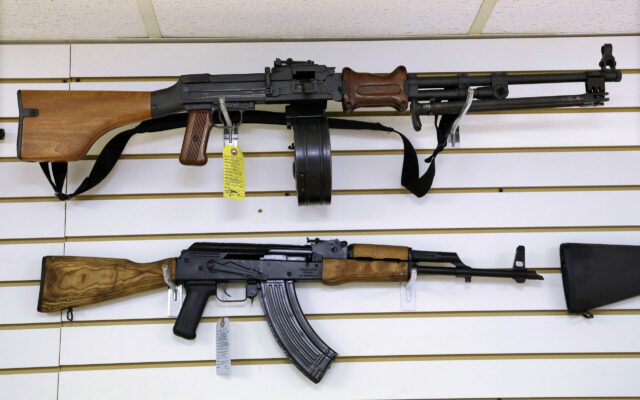 Illinois Supreme Court Hears Arguments On Assault Weapons Ban