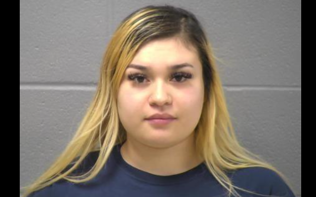 Romeoville Police Arrest 22-Year-Old In PPP Loan Investigation