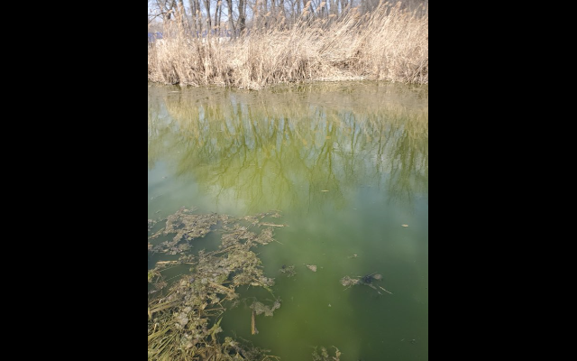 Green Sludge In Rockdale: EPA In Contact With the Village