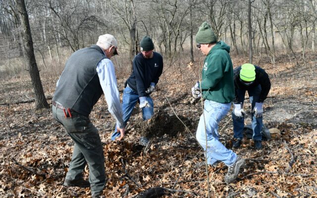 Celebrate Earth Day month with a Forest Preserve program