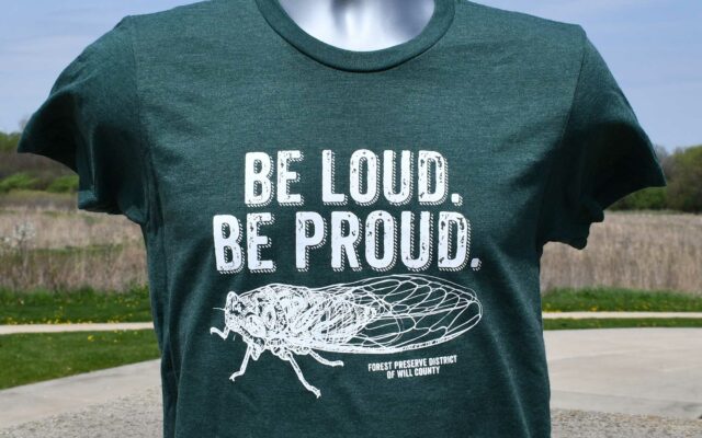 Commemorate summer of the cicada with a Forest Preserve T-shirt